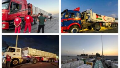 الهلال الأحمر المصري: 1600طن مساعدات عاجلة عبر قافلة "زاد العزة الـ48" لغزة 