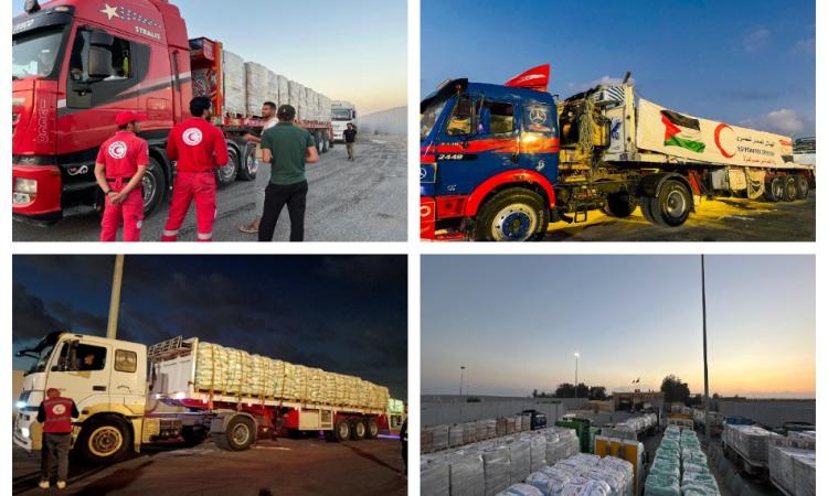 الهلال الأحمر المصري: 1600طن مساعدات عاجلة عبر قافلة "زاد العزة الـ48" لغزة 