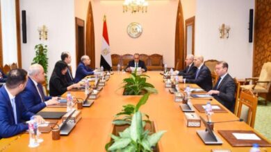 وزير الخارجية يؤكد على أهمية مواصلة تطوير وتعزيز علاقات مصر مع الدول الأسيوية