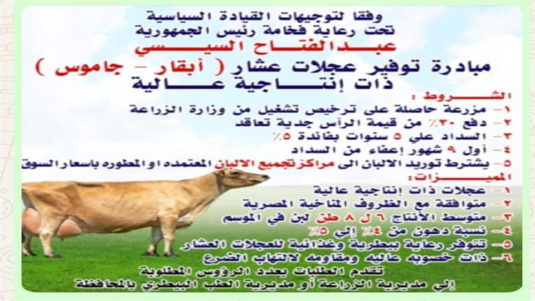 الزراعة تطلق "مبادرة الجاموس والأبقار العشار" لدعم صغار المربين.. تقسيط 5 سنوات وفائدة 5%