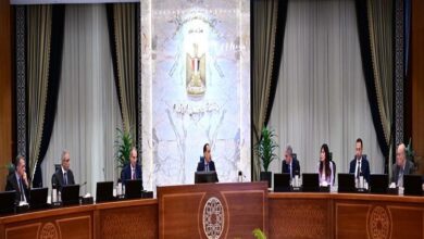 رئيس الوزراء يوجه بتيسير دخول السائحين عبر منظومة التأشيرة الإلكترونية في 2026