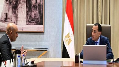 رئيس الوزراء يلتقي وزير التربية والتعليم والتعليم الفني لاستعراض عددٍ من ملفات عمل الوزارة 