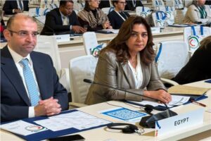 وزيرة التنمية المحلية: «اليونيدو» تنفذ 21 مشروعا في مصر بقيمة 61 مليون دولار 