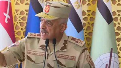 وزير الدفاع يشهد إجراءات تفتيش الحرب لأحد تشكيلات المنطقة المركزية العسكرية