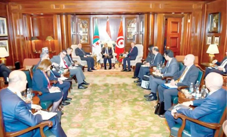 اجتماع «مصرى جزائرى تونسى» بالقاهرة لبحث التطورات فى ليبيا 