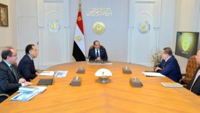 الرئيس السيسي يتابع آليات تعزيز الاستقرار المالي وتلبية الاحتياجات التمويلية