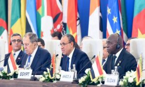 وزير الخارجية يؤكد استعداد مصر للتعاون مع روسيا لتنفيذ مشروعات في دول أفريقيا 
