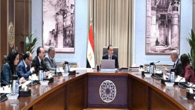 رئيس الوزراء يناقش عددًا من الفرص الاستثمارية بـ«المثلث الذهبي» مع القطاع الخاص 