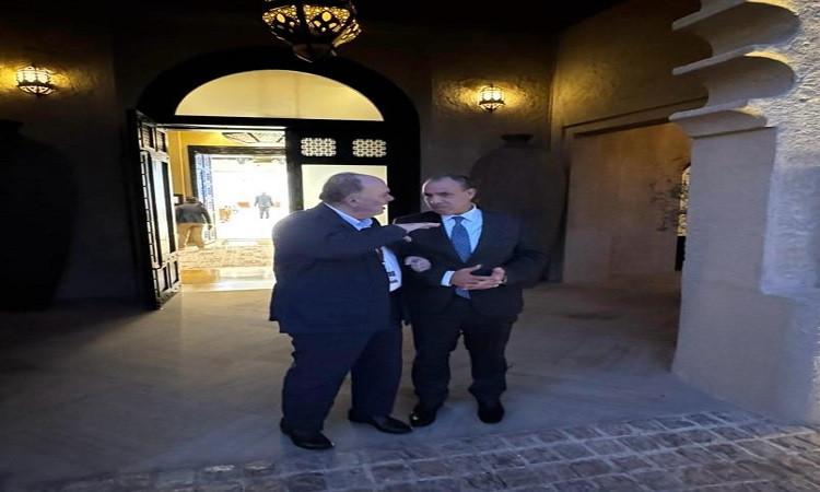 وزير الخارجية يشدد على دعم مصر الكامل لتعزيز دور السلطة الفلسطينية
