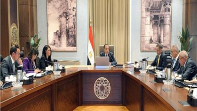 رئيس الوزراء يستعرض الهيكل التنظيمي لوحدة إعادة هيكلة الشركات المملوكة للدولة