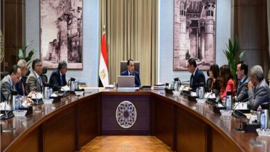 رئيس الوزراء يتابع الموقف التنفيذي لتطوير المناطق المحيطة بمنطقة هضبة الأهرامات 