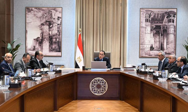 رئيس الوزراء يتابع الموقف التنفيذي لمشروعات تطوير قطاع الغزل والنسيج  