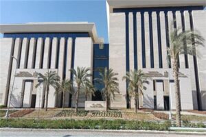 مصرتقود قرارًا دوليًا لدعم الذكاء الاصطناعي في الدول النامية 