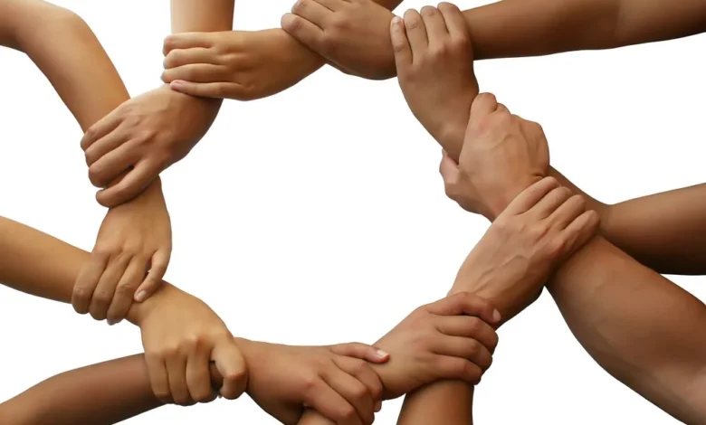 محظورات على الجمعيات الأهلية.. أنشطة ممنوعة تؤدي إلى وقف الترخيص