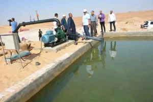  الوادى الجديد تحول رمال الكثبان المتحركة إلى مروج خضراء ومزارع منتجة.. المحافظ: طرح مبادرة تشجيعية لاستغلال زراعة الكثبان الرملية بقيمة إيجارية مخفضة