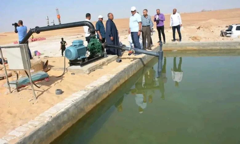  الوادى الجديد تحول رمال الكثبان المتحركة إلى مروج خضراء ومزارع منتجة.. المحافظ: طرح مبادرة تشجيعية لاستغلال زراعة الكثبان الرملية بقيمة إيجارية مخفضة