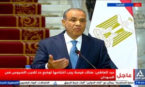 وزير الخارجية: مصر لن تقبل تحت اى ظرف بانهيار السودان أو مؤسساته الوطنية 