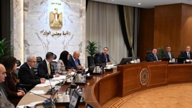 اللجنة العليا للذهب:مدبولى الحكومة تبذل جهودا حثيثة من أجل تعظيم القيمة المضافة للذهب