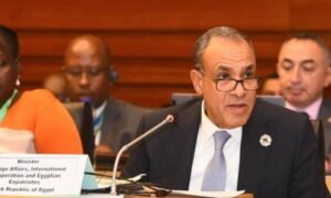 وزير الخارجية يجدد التزام مصر بدعم استرداد التراث الإفريقي   