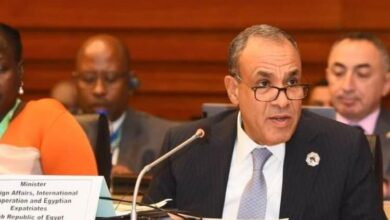 وزير الخارجية يجدد التزام مصر بدعم استرداد التراث الإفريقي