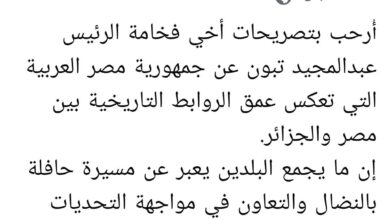 الرئيس عبد الفتاح السيسي يُعرب عن سعادته بتصريحات نظيره الجزائري