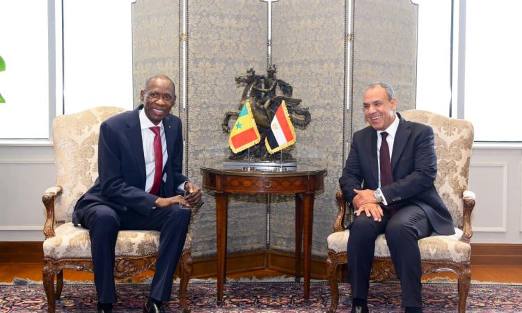 مباحثات مصرية سنغالية لتعزيز الشراكة ودعم جهود التنمية بالقارة الأفريقية 