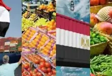 الصادرات الزراعية المصرية تقفز لـ11.5 مليار دولار في 2025