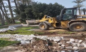 "الزراعة": إزالة 877 حالة تعد على الأراضي الزراعية خلال أسبوع