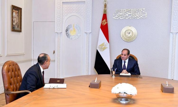 الرئيس السيسي يطلع على تقرير شامل حول جولة وزير الخارجية بعدد من الدول العربية