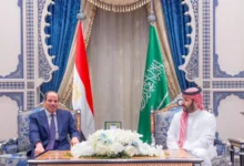ولي العهد السعودي والرئيس المصري يبحثان التطورات الإقليمية 
