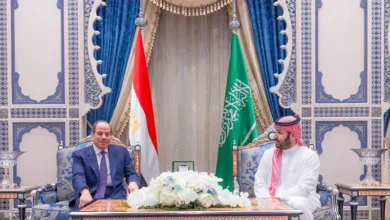 ولي العهد السعودي والرئيس المصري يبحثان التطورات الإقليمية 