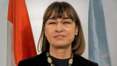 الممثل المقيم للأمم المتحدة: مصر تظل منبرا يدعو للتهدئة والحوار والسلام 