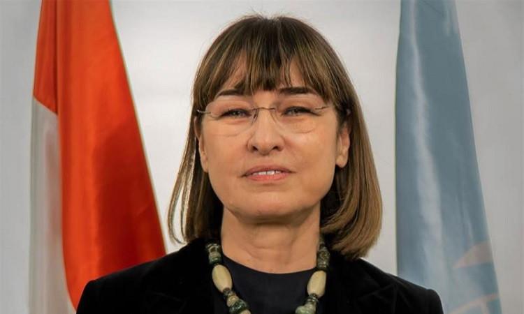 الممثل المقيم للأمم المتحدة: مصر تظل منبرا يدعو للتهدئة والحوار والسلام 