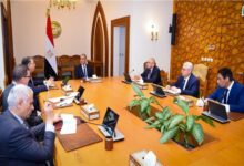 وزيرالخارجية يوجه بتكثيف متابعة أوضاع المصريين بالخارج