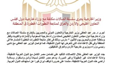 وزير الخارجية يبحث مع نظرائه بـ"التعاون الخليجى" والأردن والعراق تطور الأوضاع 