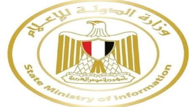 "الدولة للإعلام": الرئيس السيسي حدد عناصر موقف مصر في ظل مجريات الأزمة الحالية 