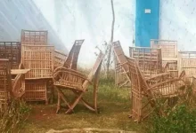 محافظةالوادى الجديد تدعم خطة متكاملة للتوسع فى الاستفادة من مخلفات النخيل بروتوكول تعاون مع الهيئة العربية للتصنيع لإنتاج الخشب المضغوط MDF