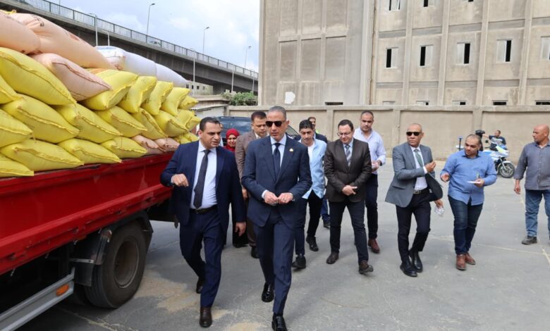 محافظ الجيزة يتفقد صومعة إمبابة لمتابعة انتظام توريد وتخزين محصول القمح.. 12 موقعًا تخزينيًا لاستقبال القمح وتسهيل التوريد للمزارعين 