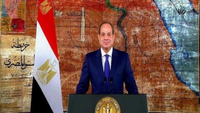 الرئيس السيسي: سيناء بوابة الوطن الحصينة التي ارتوت بدماء الشهداء