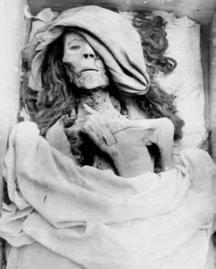 سيدة النيل تعود.. الملكة «تي» رمز الأناقة والقوة تتحدى الموت في المتحف المصري (بروفايل)