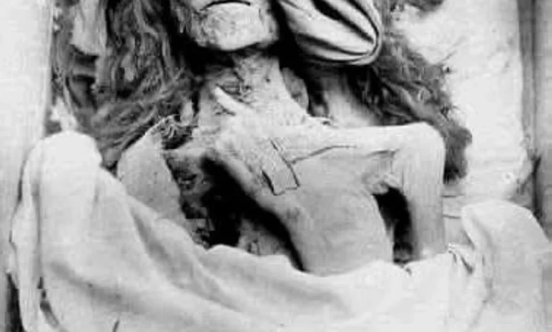 سيدة النيل تعود.. الملكة «تي» رمز الأناقة والقوة تتحدى الموت في المتحف المصري (بروفايل) 