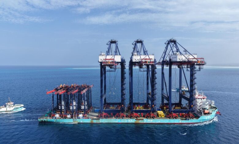 وزير النقل : وصول 9 أوناش رصيف عملاقة وساحة للمحطة متعددة الأغراض (سفاجا 2) 