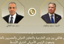 وزير الخارجية يبحث مع ستيف ويتكوف مسار المفاوضات الأمريكية - الإيرانية 