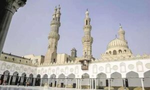 الأزهر: لا يجوز ربط الرؤية بالنفقة