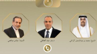 وزير الخارجية يبحث مع رئيس وزراء قطر ووزير خارجية إيران جهود التهدئة الإقليمية