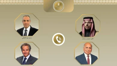 وزير الخارجية يبحث مع نظيريه السعودى والعراقى ومدير وكالة الطاقة الذرية مستجدات الأوضاع الإقليمية