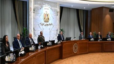 مدبولى الحكومة تستعد لمختلف السيناريوهات مع استمرار الضغوط على أسواق الطاقة