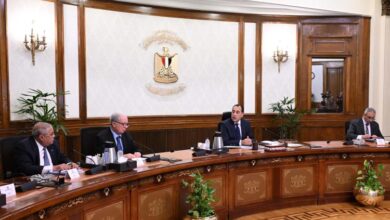 مدبولي يتابع مشروعات تطوير قطاع الغزل والنسيج والاستغلال الأمثل لبعض الأصول 