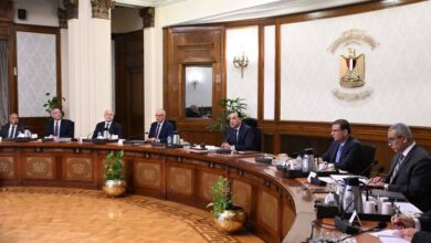 رئيس الوزراء يتابع الخطط التنفيذية لتنمية سيناء