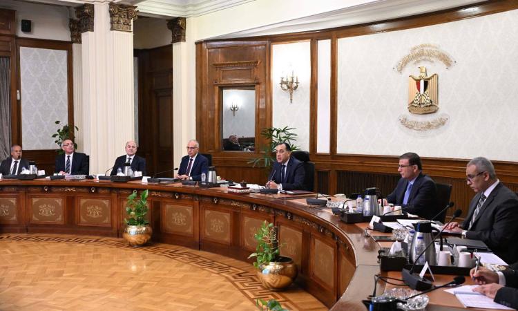 رئيس الوزراء يتابع الخطط التنفيذية لتنمية سيناء